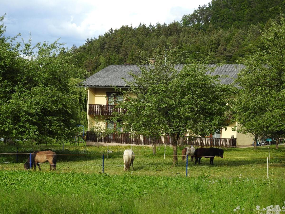 Apartment Am Ponyhof Sankt Kanzian am Klopeiner See Exterior foto